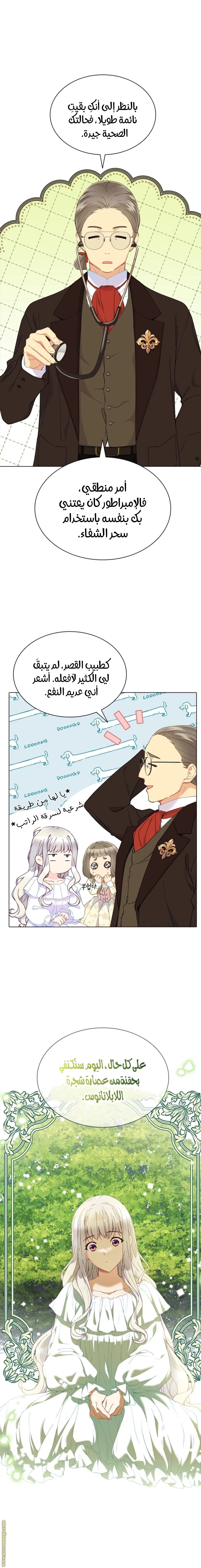 الصفحة 8