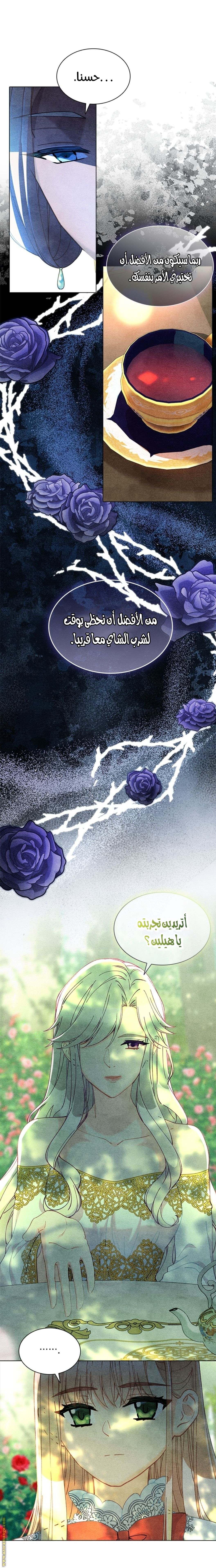الصفحة 14