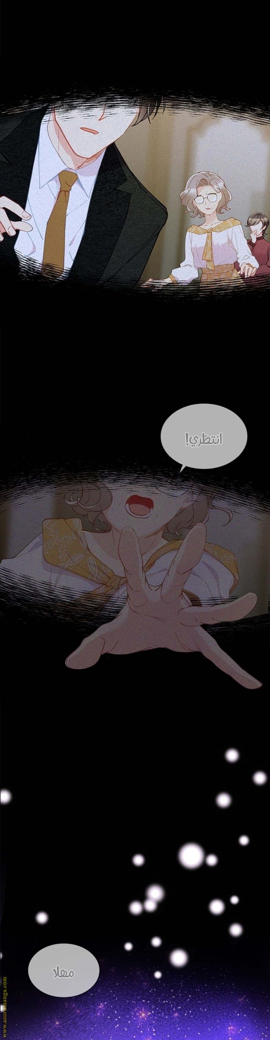 الصفحة 21