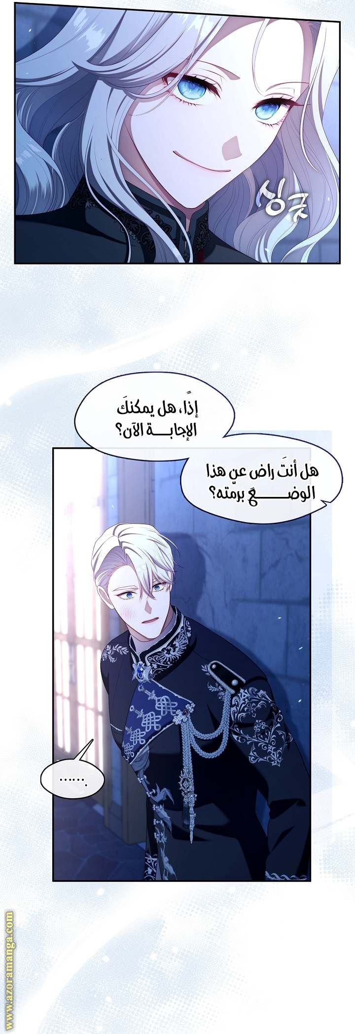 الصفحة 17
