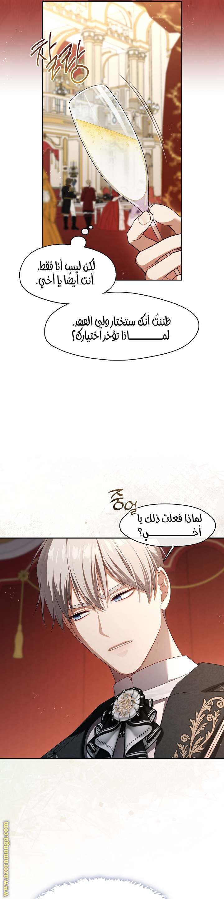 الصفحة 29