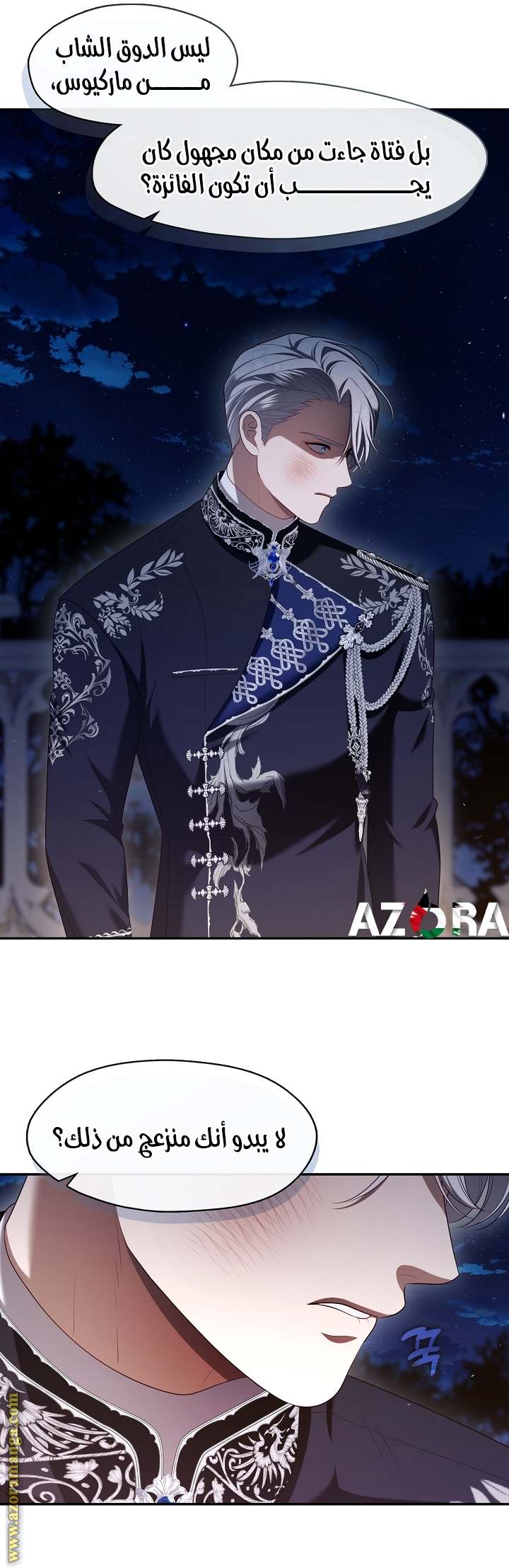 الصفحة 31