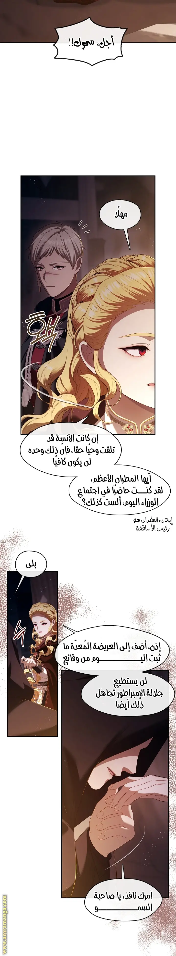 الصفحة 13