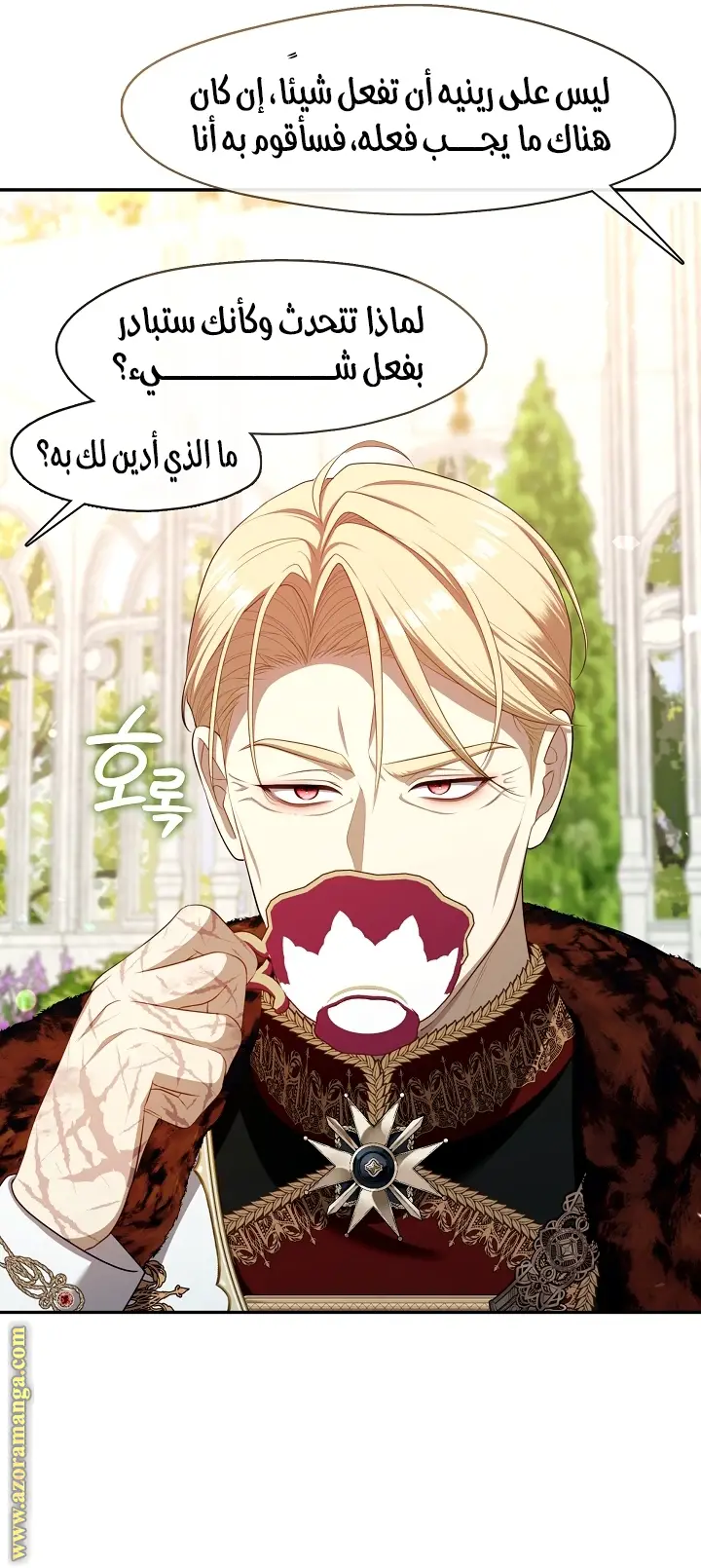 الصفحة 25