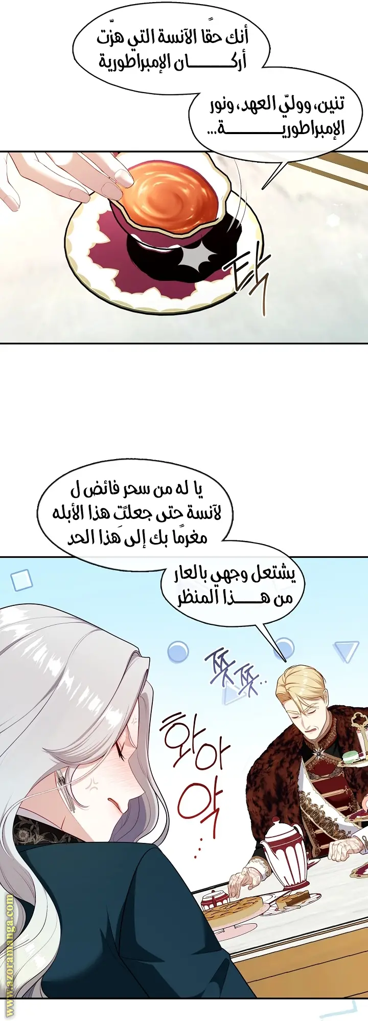 الصفحة 26