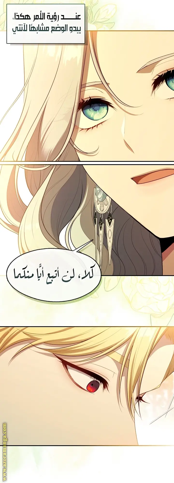 الصفحة 43