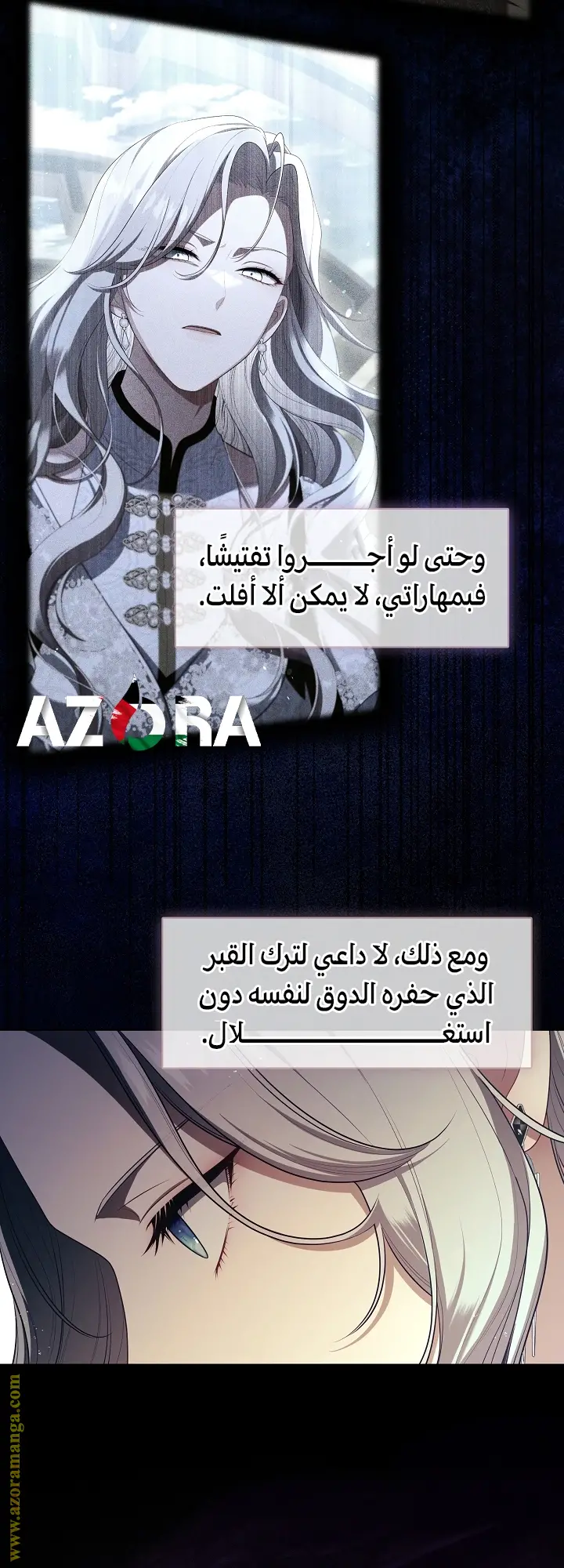 الصفحة 27