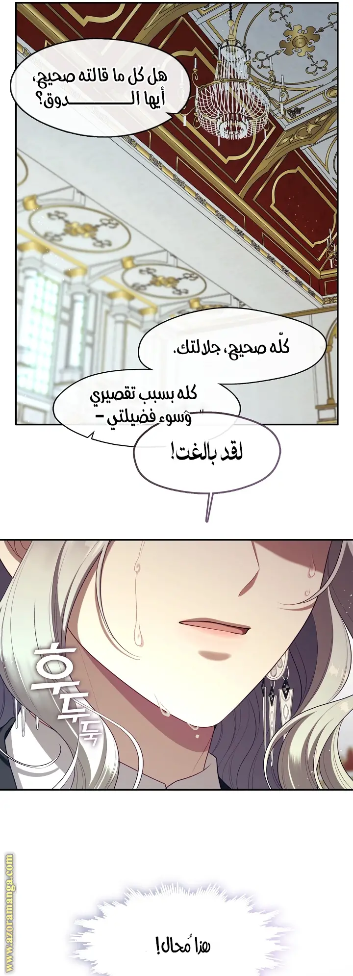 الصفحة 41