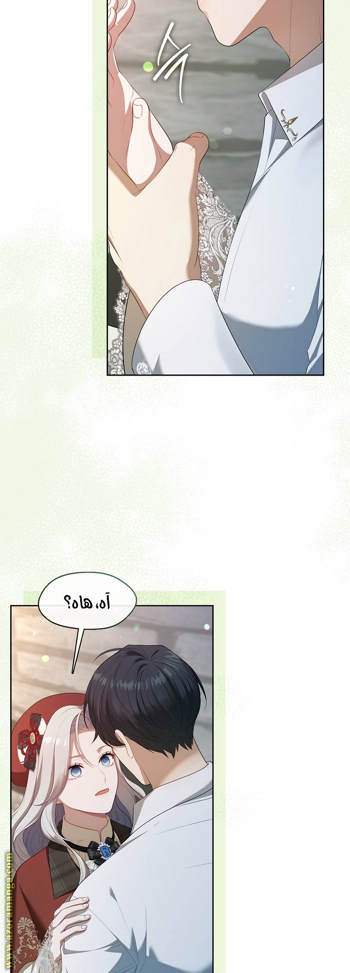 الصفحة 25