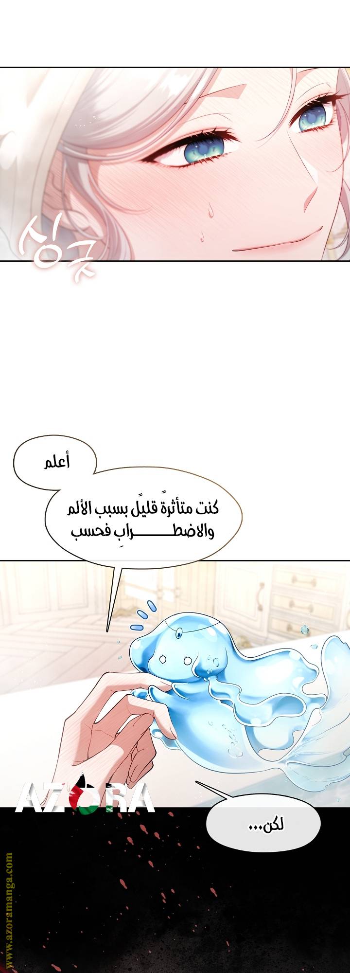الصفحة 14