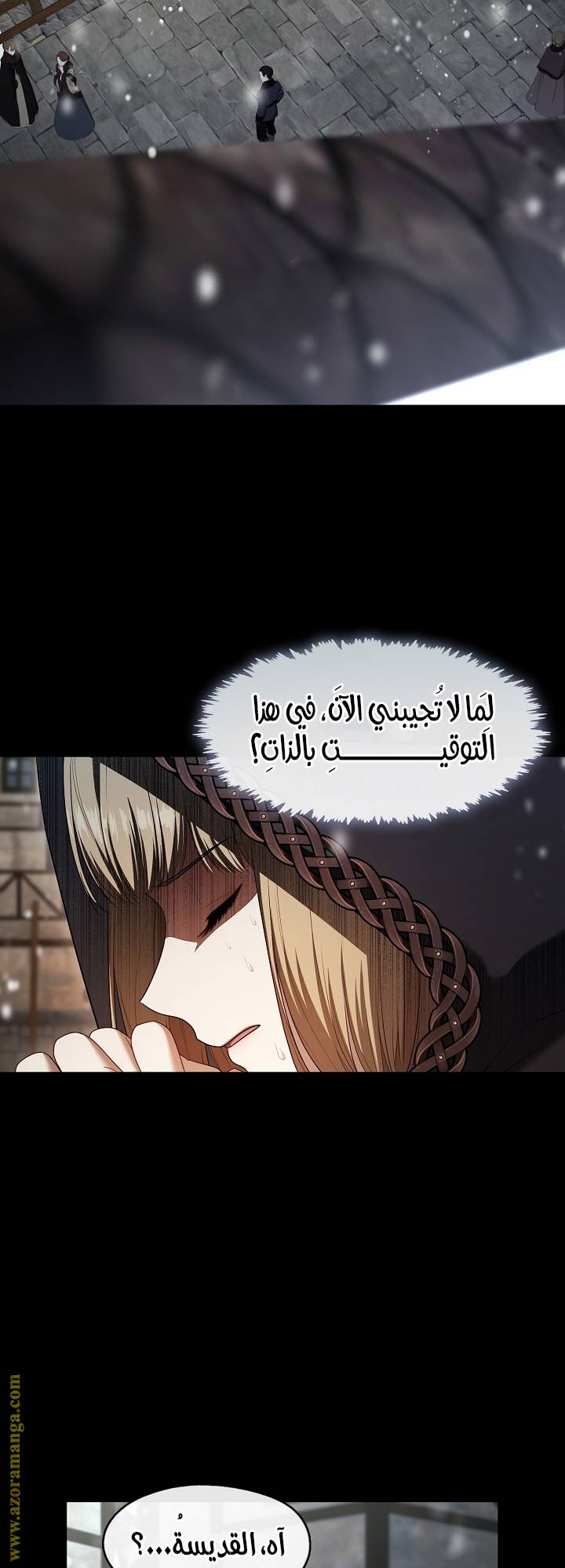 الصفحة 29