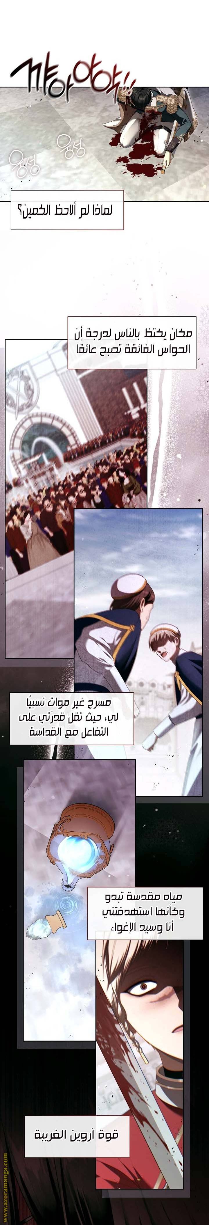 الصفحة 16