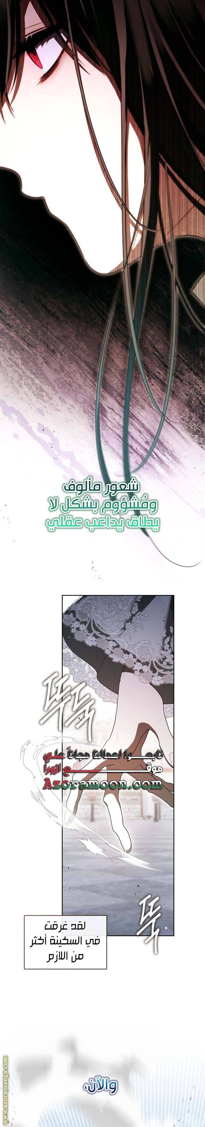 الصفحة 17