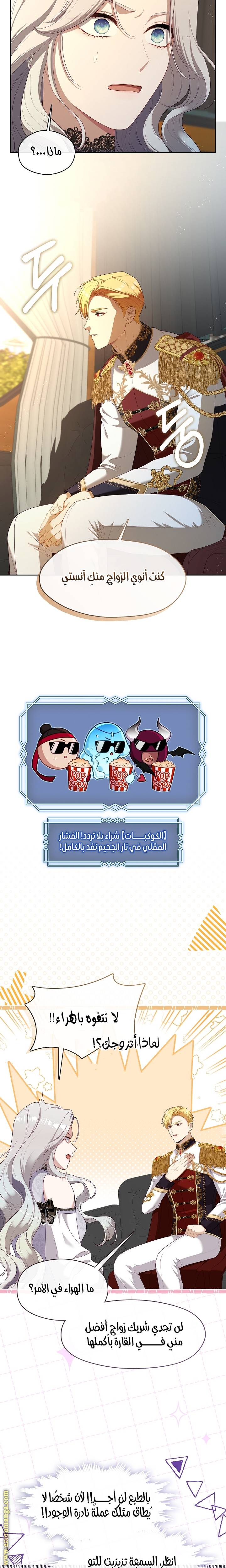 الصفحة 17