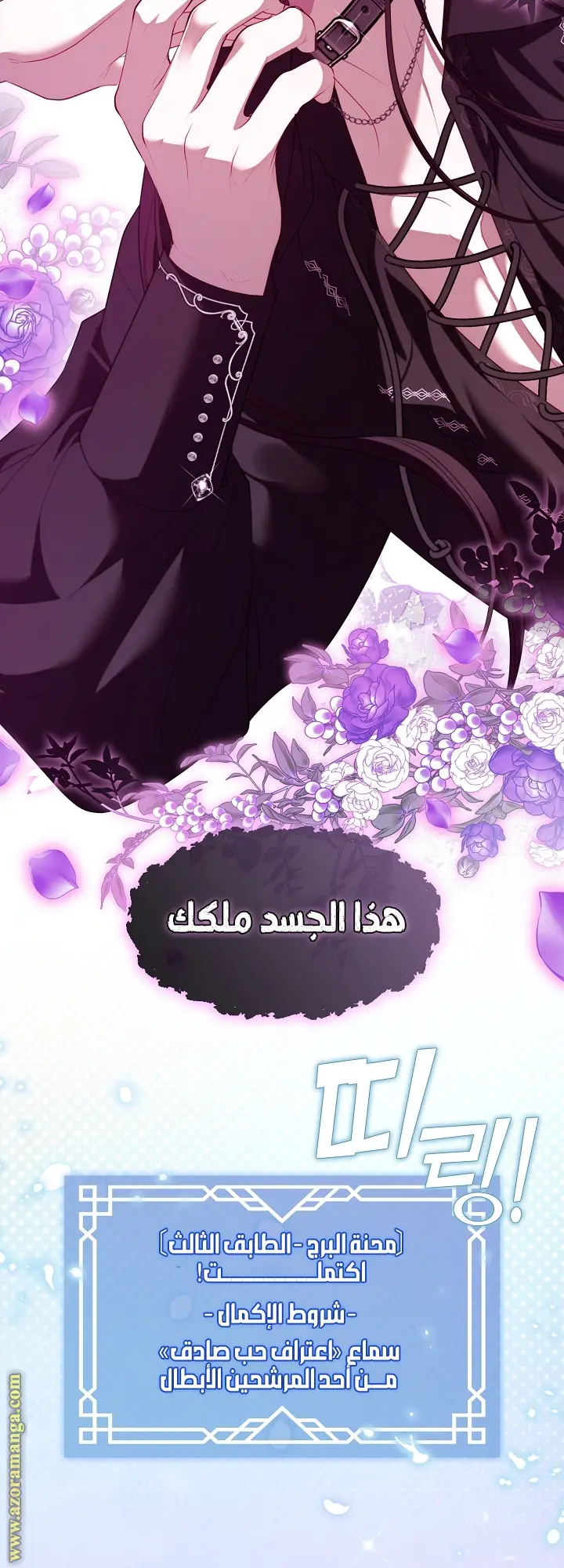 الصفحة 13