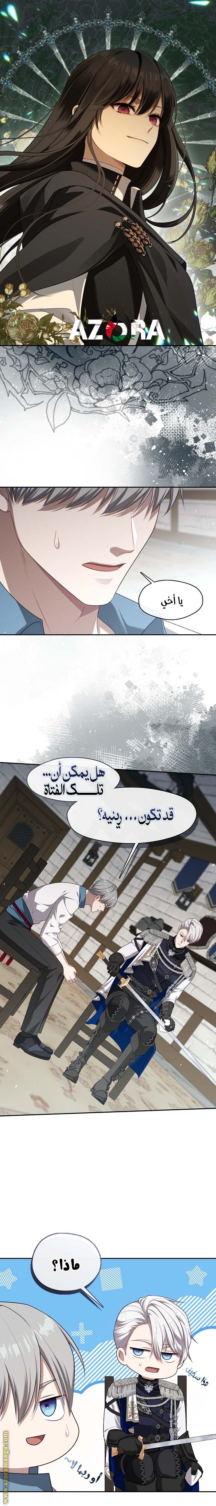 الصفحة 13