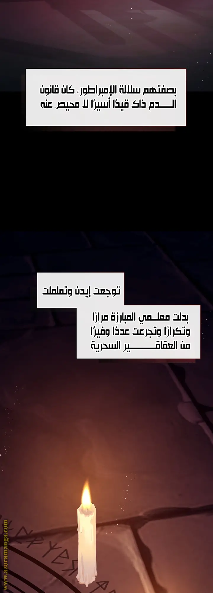 الصفحة 17