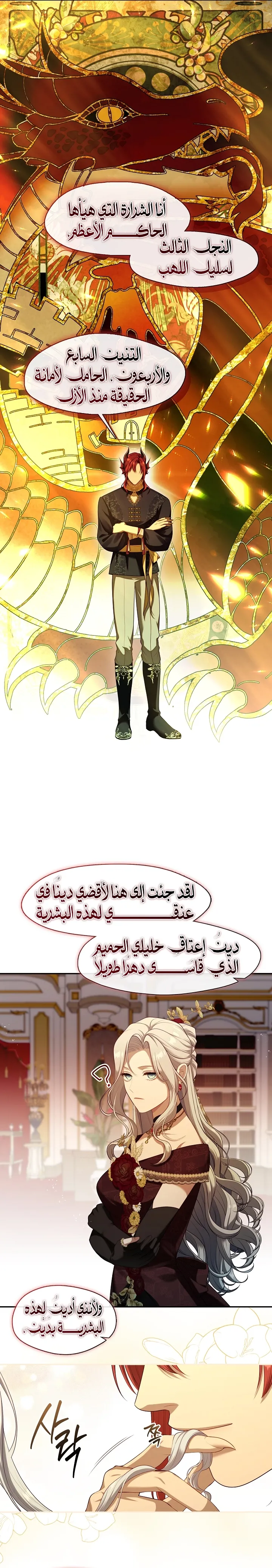 الصفحة 11
