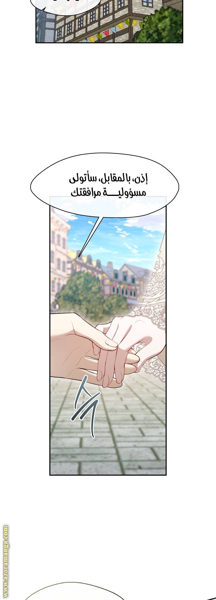 الصفحة 29