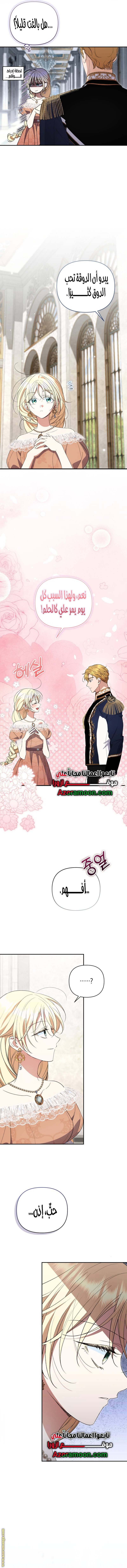 الصفحة 3