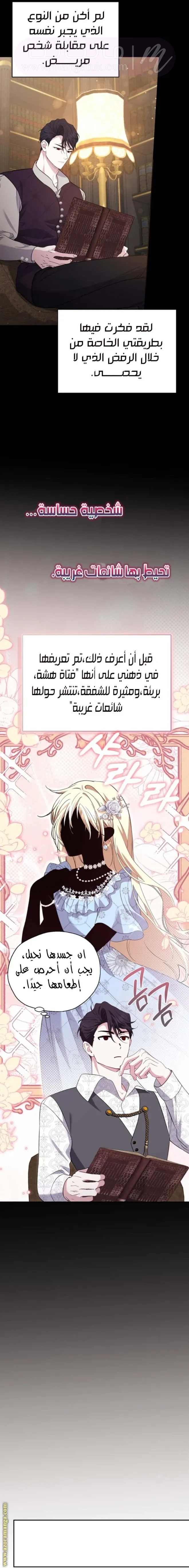 الصفحة 26
