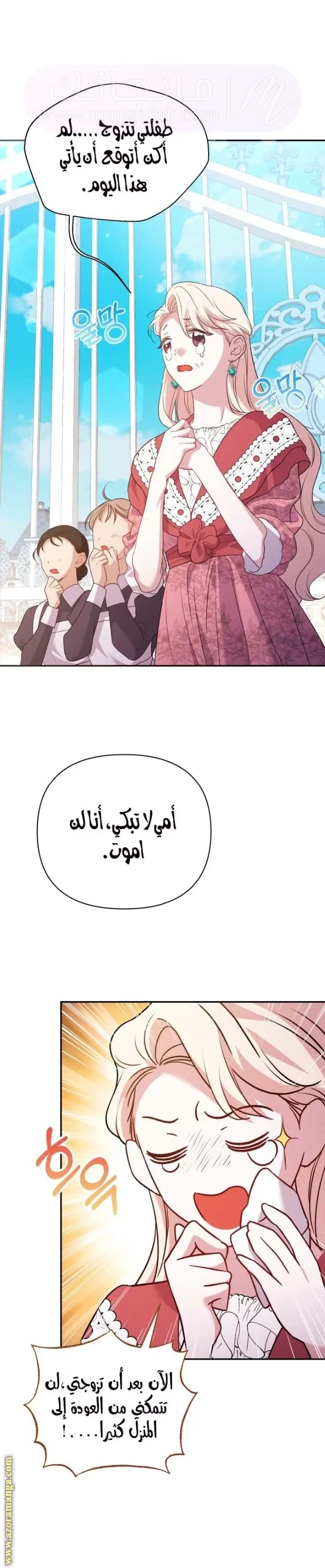 الصفحة 17