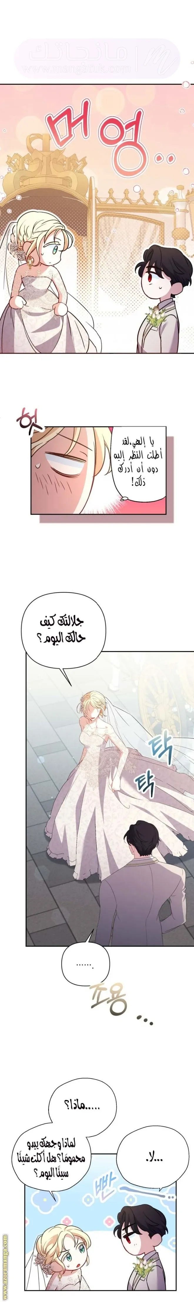 الصفحة 25