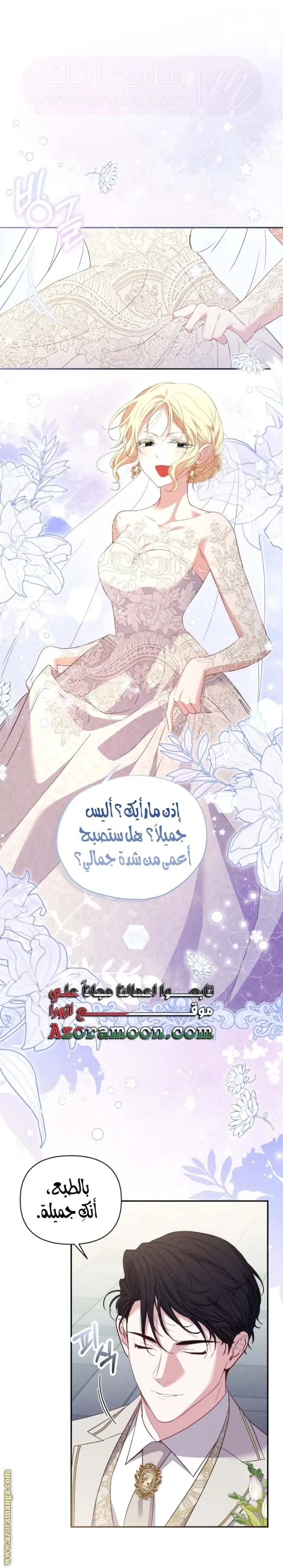 الصفحة 26
