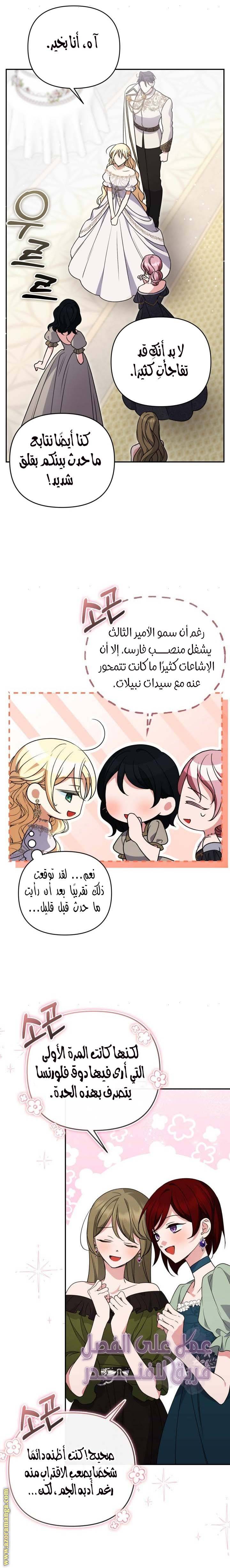 الصفحة 17