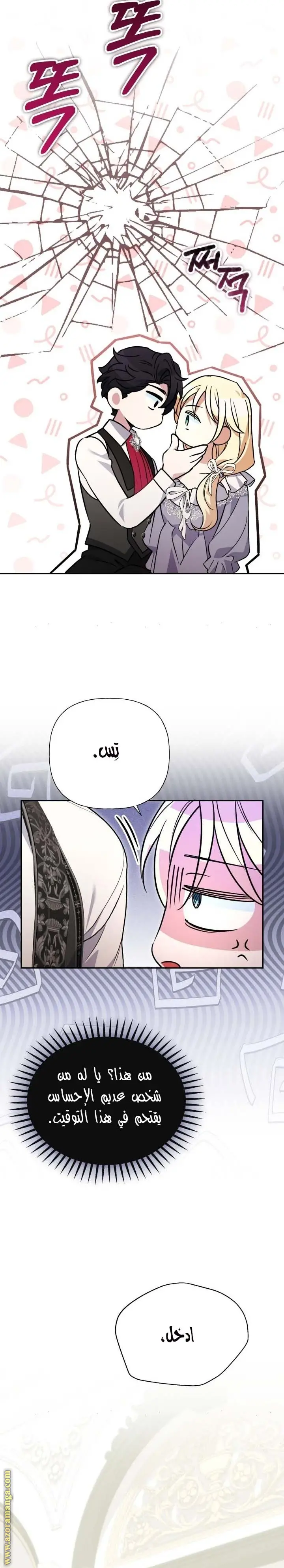 الصفحة 17