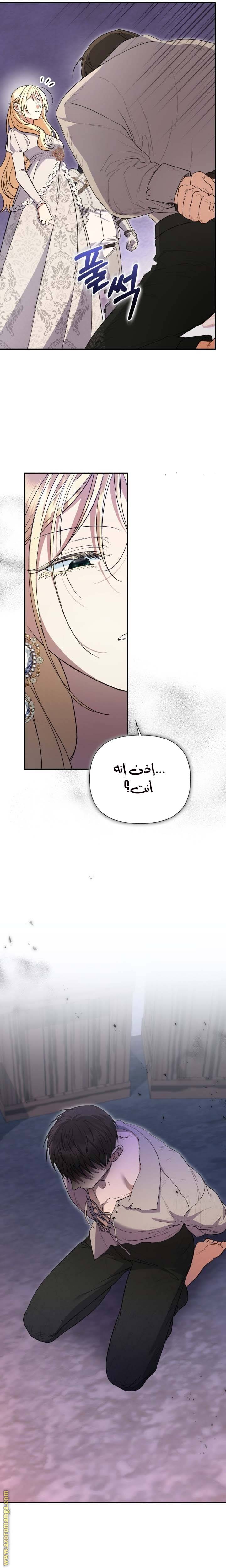 الصفحة 11