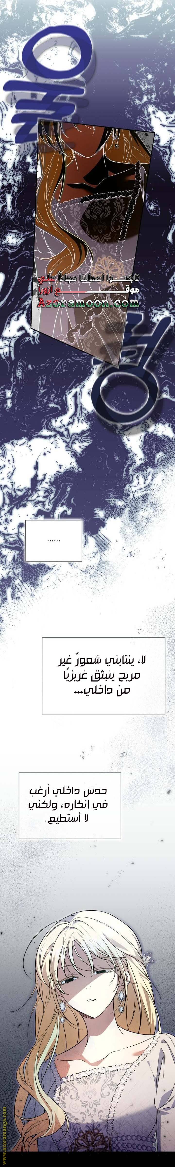 الصفحة 17