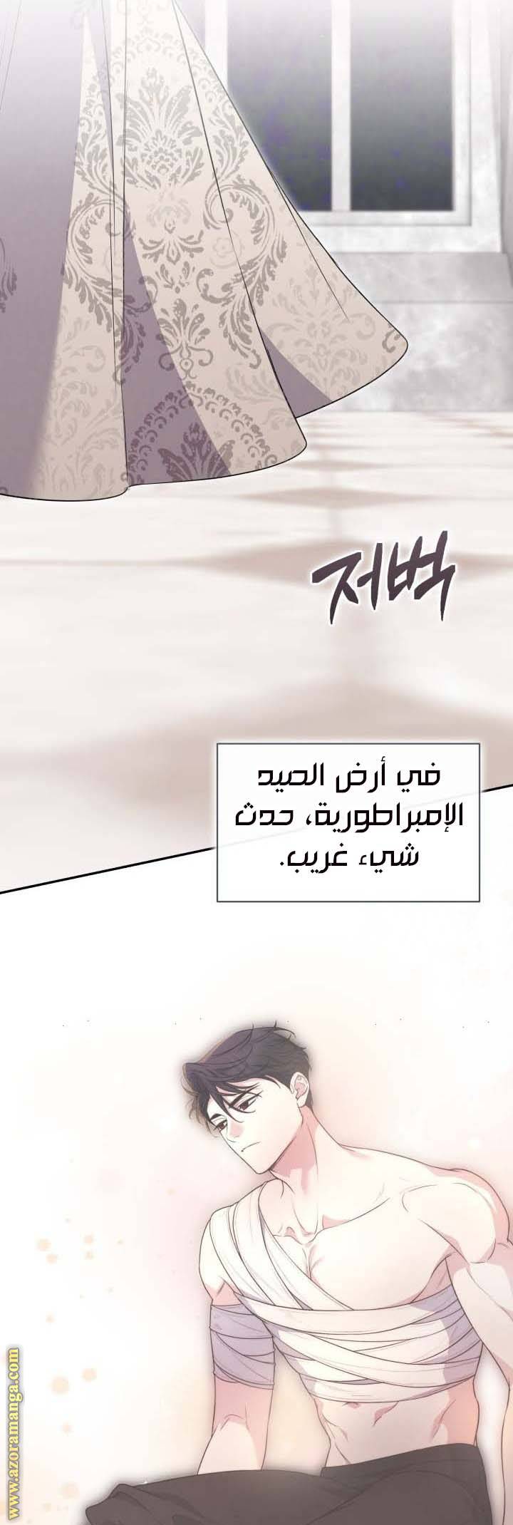الصفحة 24