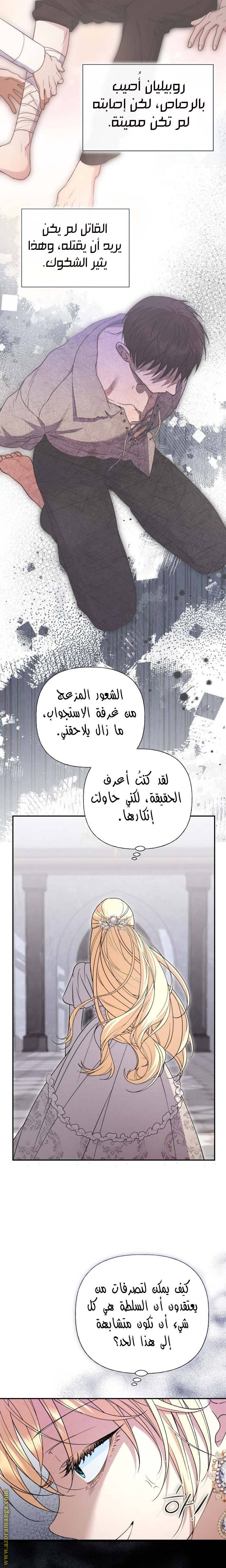 الصفحة 25