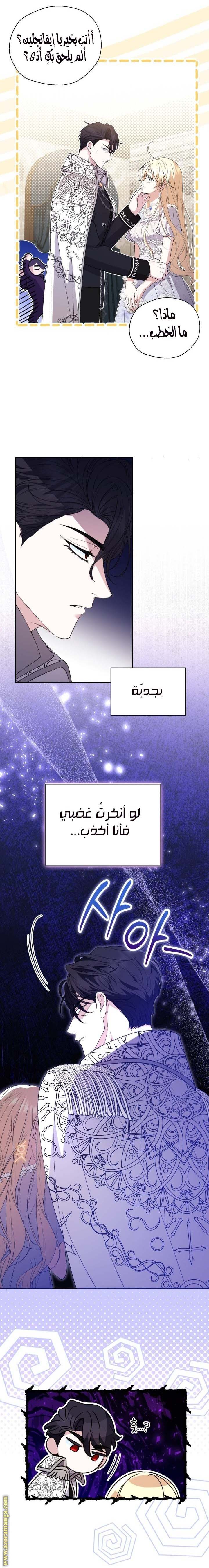 الصفحة 13