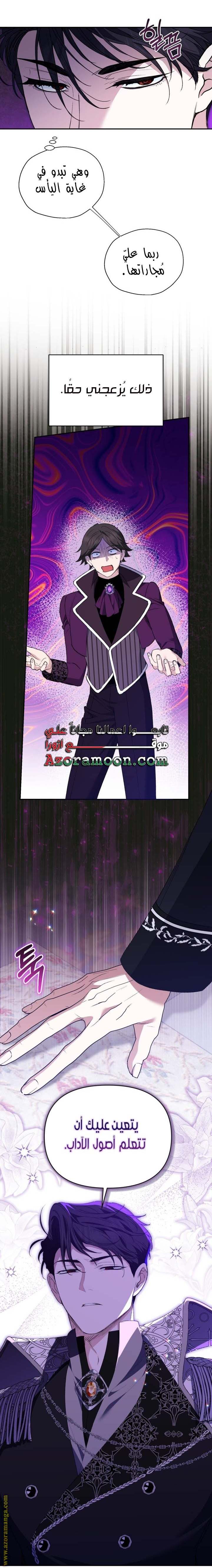 الصفحة 17