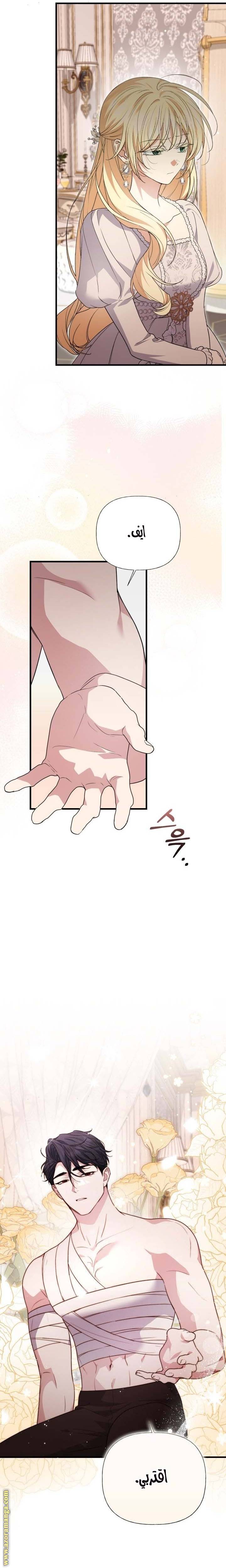 الصفحة 11