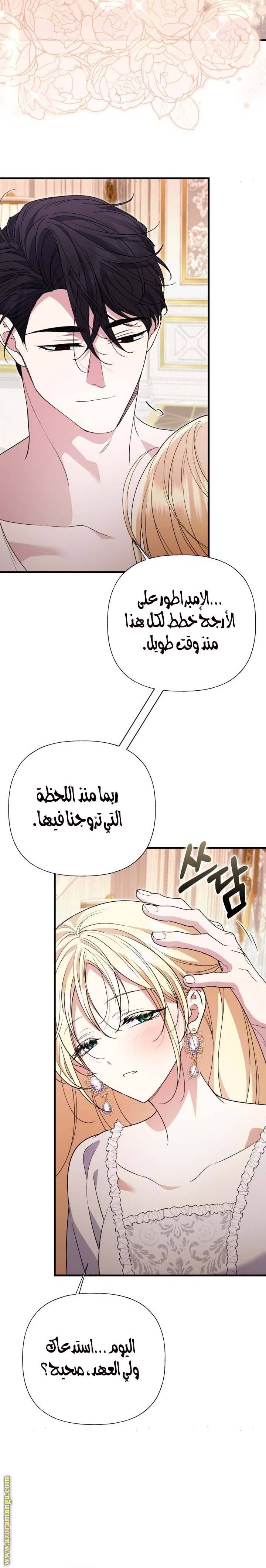 الصفحة 13