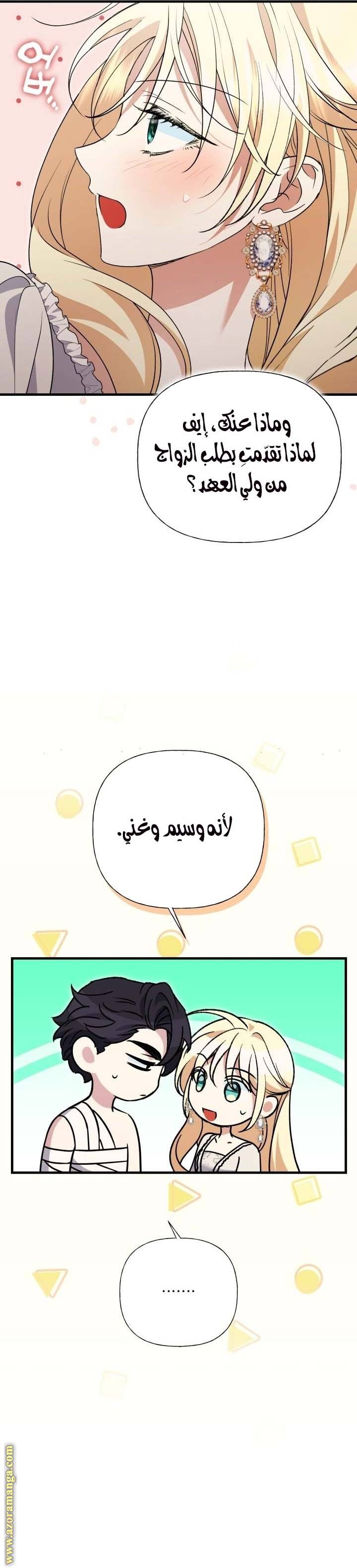 الصفحة 17