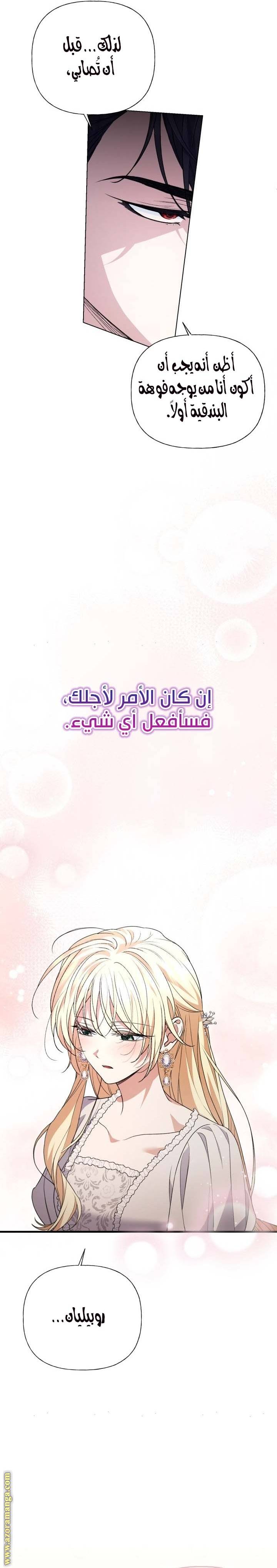 الصفحة 26