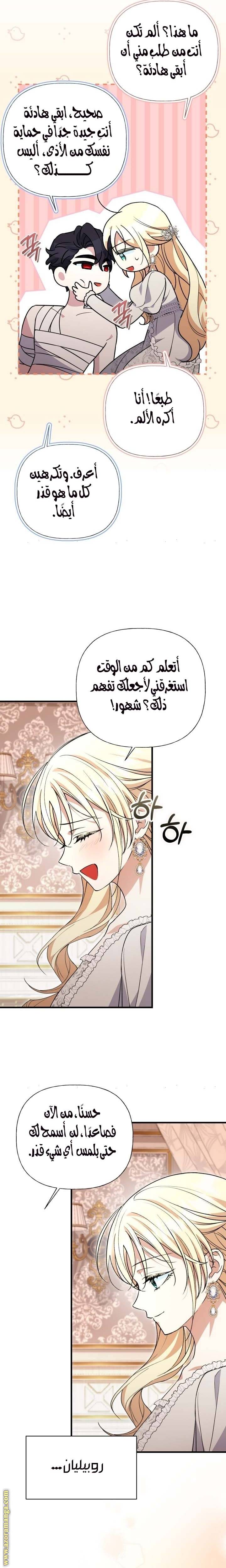 الصفحة 27