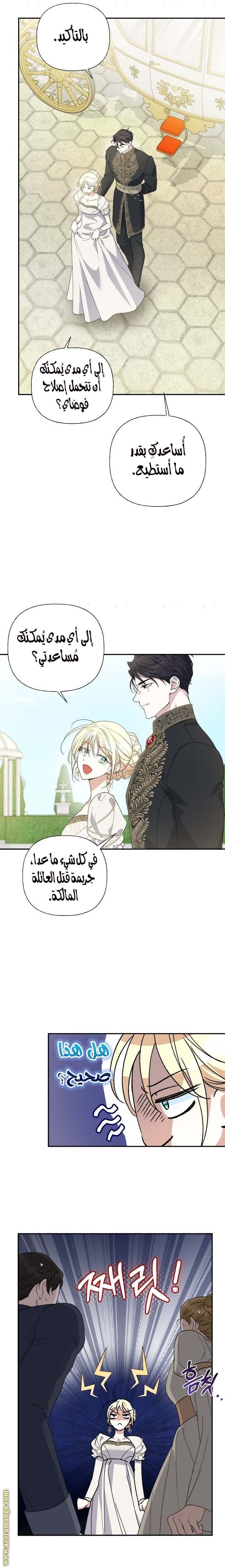 الصفحة 17