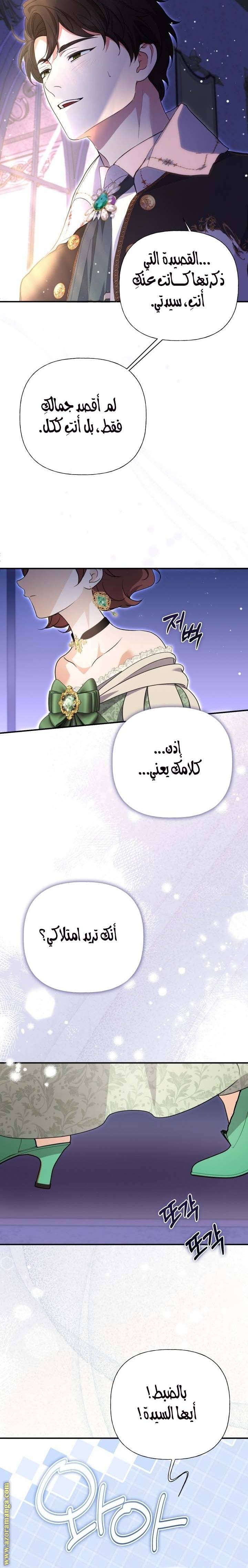 الصفحة 17