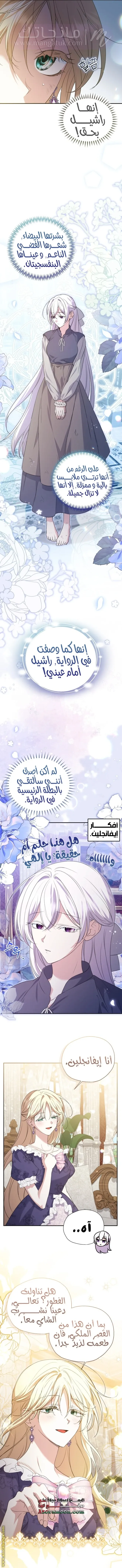 الصفحة 12