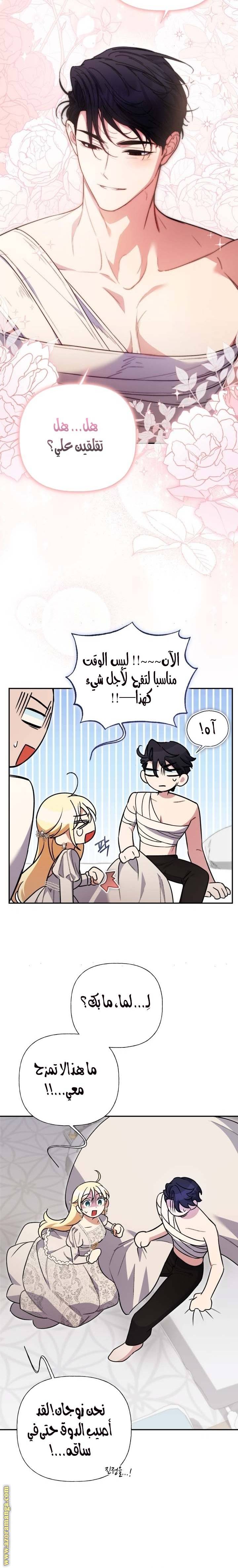 الصفحة 13