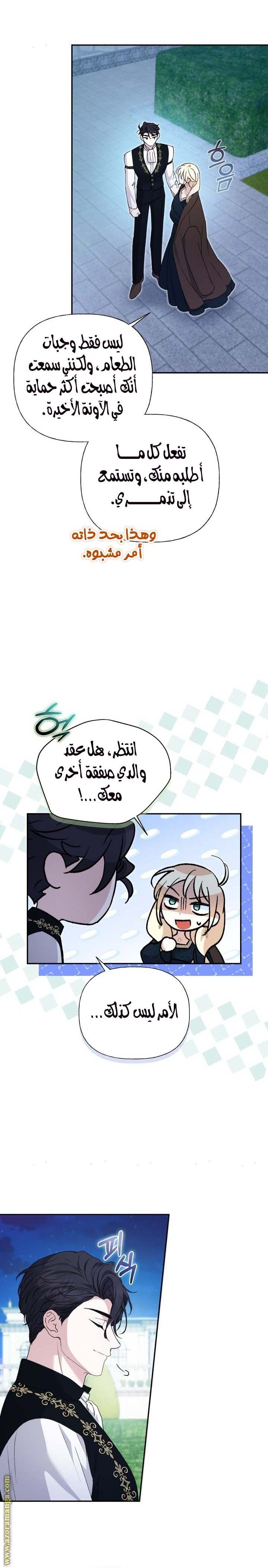 الصفحة 14