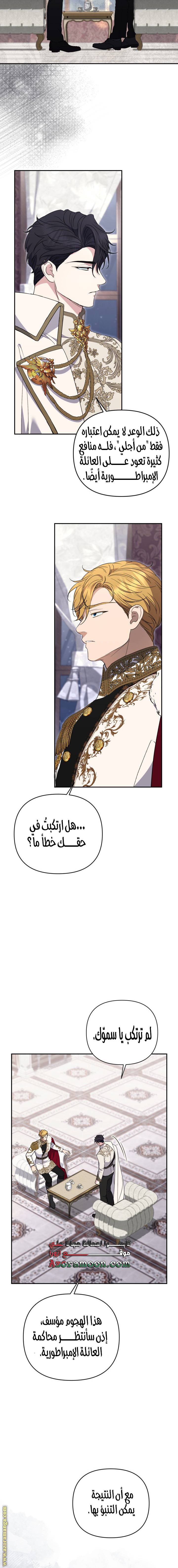 الصفحة 13