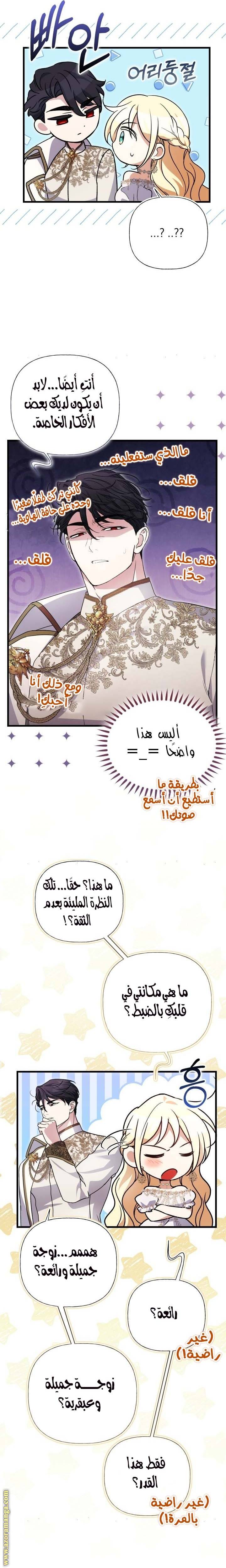 الصفحة 21