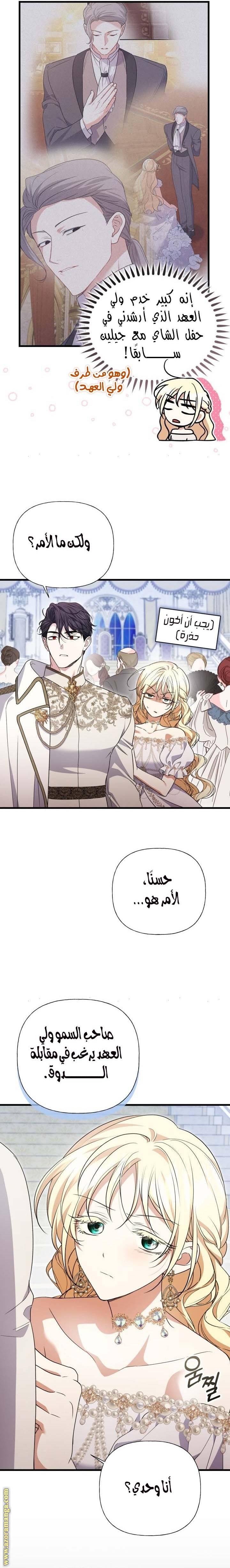 الصفحة 25