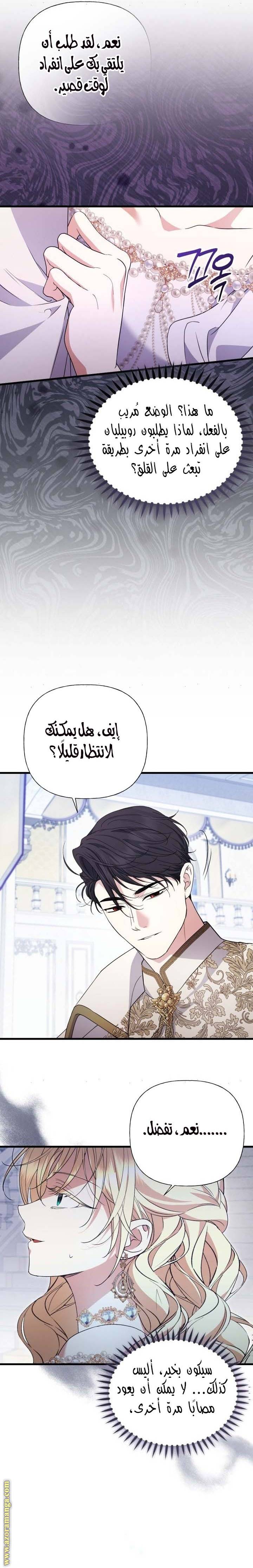 الصفحة 26
